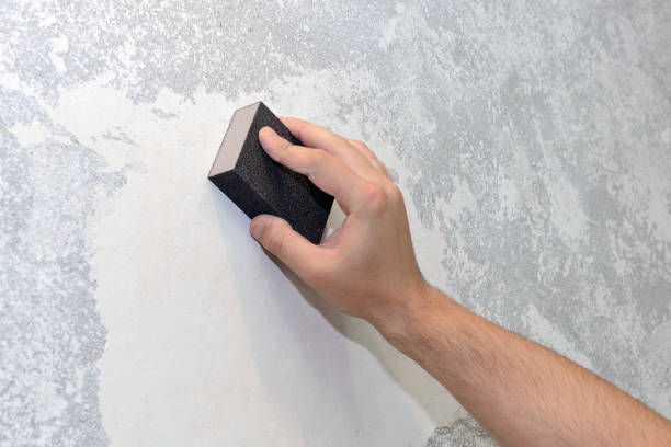 Best Water Damage & Mold Remediation  in Bouse, AZ