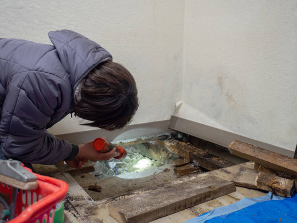 Best Comprehensive Air Testing for Mold Contaminants  in Bouse, AZ