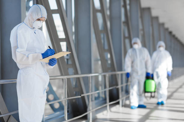  Bouse, AZ Mold Removal Pros