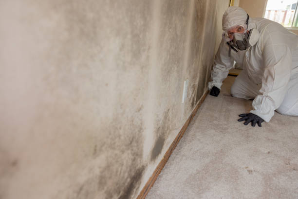 Best Airborne Mold Testing  in Bouse, AZ