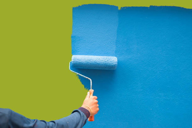 Best Black Mold Removal  in Bouse, AZ